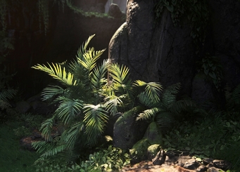 (re)inventing nature (re)inventing nature